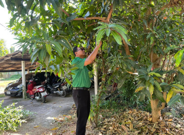 สำนักงานสหกรณ์จังหวัดหนองคาย จัดกิจกรรม Big Cleaning Day 5 ... พารามิเตอร์รูปภาพ 1