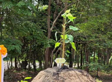 สำนักงานสหกรณ์จังหวัดหนองคาย ร่วมประกอบพิธีปลูก ... พารามิเตอร์รูปภาพ 7