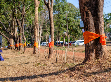 กิจกรรมรวมพลังแห่งความภักดี ... พารามิเตอร์รูปภาพ 17