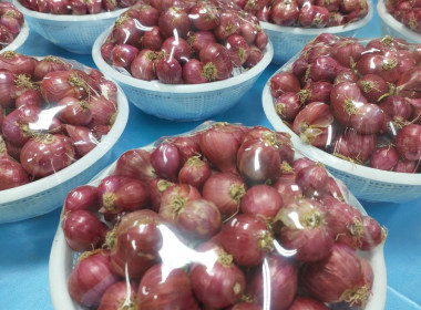 สหกรณ์จังหวัดหนองคายประชาสัมพันธ์ เชิญชวนบริโภคหอมแดง ... พารามิเตอร์รูปภาพ 6