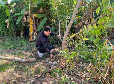 สำนักงานสหกรณ์จังหวัดหนองคาย จัดกิจกรรม Big Cleaning Day 5 ... พารามิเตอร์รูปภาพ 16