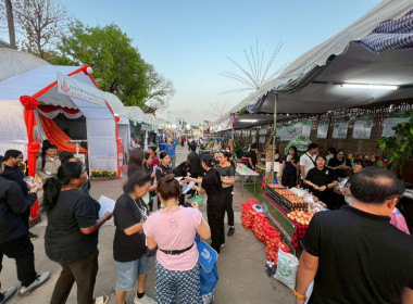 สำนักงานสหกรณ์จังหวัดหนองคาย ... พารามิเตอร์รูปภาพ 11