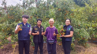 สำนักงสหกรณ์จังหวัดหนองคาย ... พารามิเตอร์รูปภาพ 1