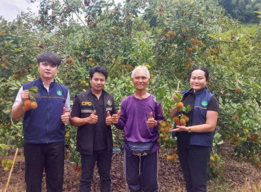 สำนักงสหกรณ์จังหวัดหนองคาย ... พารามิเตอร์รูปภาพ 5