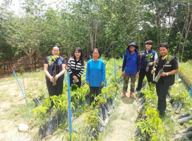 สำนักงสหกรณ์จังหวัดหนองคาย ... พารามิเตอร์รูปภาพ 2